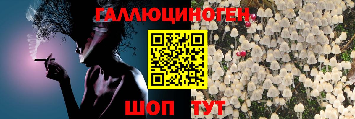 Псилоцибиновые грибы Magic Shrooms  Вход с VPN  Кубинка  Псилоцибиновые грибы GOLDEN TEACHER 